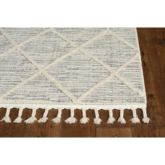 Budget π The Gray Barn Courtenay Textured Abstract Boho Rug With Fringe π 4 Budget π The Gray Barn Courtenay Textured Abstract Boho Rug With Fringe π - Image 2