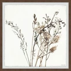 Discount ❤️ The Gray Barn 'Mixed Plants' Framed Painting Print 💯