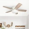 Cheap 😉 The Gray Barn Theobalds 52-inch Coastal Indoor LED Ceiling Fan With Pull Chains 5 Reversible Blades - 52 ⭐ -The Gray Barn Shop unnamed file 2319