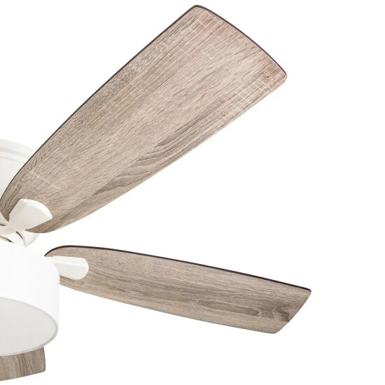 Cheap π The Gray Barn Theobalds 52-inch Coastal Indoor LED Ceiling Fan With Pull Chains 5 Reversible Blades - 52 β 8 Cheap π The Gray Barn Theobalds 52-inch Coastal Indoor LED Ceiling Fan With Pull Chains 5 Reversible Blades - 52 β - Image 6