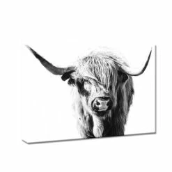 Brand new 👏 The Gray Barn Dominie Highland Cow Animals Rectangle Gallery Wrapped Canvas 🌟 -The Gray Barn Shop unnamed file 2930