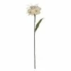 Buy ⭐ The Gray Barn Lucrum Plains Natural 31-inch Decorative Narciso Flower On Stem 🧨 -The Gray Barn Shop unnamed file 3553