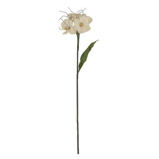 Buy β The Gray Barn Lucrum Plains Natural 31-inch Decorative Narciso Flower On Stem 𧨠3 Buy β The Gray Barn Lucrum Plains Natural 31-inch Decorative Narciso Flower On Stem π§¨