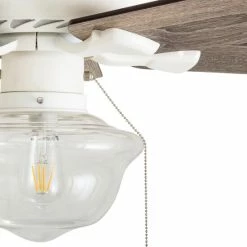 Best reviews of 🧨 The Gray Barn Eltham 42-inch Coastal Indoor LED Ceiling Fan With Pull Chains 5 Reversible Blades - 42 🧨 -The Gray Barn Shop unnamed file 3827