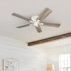 Brand new 🎉 The Gray Barn Dalmeny Indoor Hugger Ceiling Fan - 52 🛒 -The Gray Barn Shop unnamed file 3837