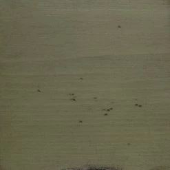 Best Sale π The Gray Barn Grange Wood Small Console Table Stone/harbor Grey π 12 Best Sale π The Gray Barn Grange Wood Small Console Table Stone/harbor Grey π -The Gray Barn Shop unnamed file 3863