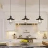 Budget 🛒 The Gray Barn Modern Farmhouse1-Light Metal Cage Pendant Lights For Kitchen Island 🎉 -The Gray Barn Shop unnamed file 4169