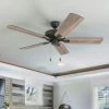 Top 10 🤩 The Gray Barn Jutland Farmhouse 52-inch Aged Bronze Ceiling Fan In Barnwood/Tumbleweed Blades 🥰 -The Gray Barn Shop unnamed file 4750