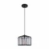 Best Sale 💯 The Gray Barn Bracken Hill 1-light Crystal Drum Chandelier With Black Finish 🧨 -The Gray Barn Shop unnamed file 5292