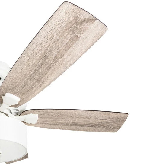 Cheapest β€οΈ The Gray Barn Theobalds 52-inch Coastal Indoor LED Ceiling Fan With Remote Control 5 Reversible Blades - 52 π 7 Cheapest β€οΈ The Gray Barn Theobalds 52-inch Coastal Indoor LED Ceiling Fan With Remote Control 5 Reversible Blades - 52 π - Image 5