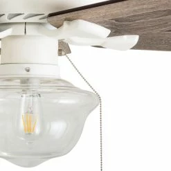 Best Sale 💯 The Gray Barn Eltham 42-inch Coastal Indoor LED Ceiling Fan With Remote Control 5 Reversible Blades - 42 🧨 -The Gray Barn Shop unnamed file 5459