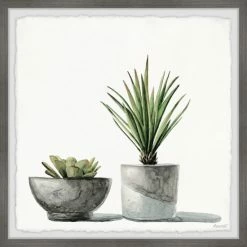 Outlet 👍 The Gray Barn 'Spiky Succulent' Framed Painting Print 💯
