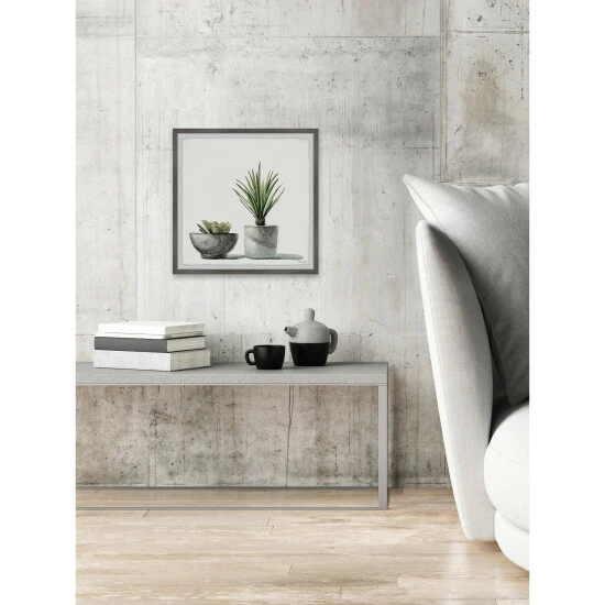 Outlet π The Gray Barn 'Spiky Succulent' Framed Painting Print π― 7 Outlet π The Gray Barn 'Spiky Succulent' Framed Painting Print π― - Image 5