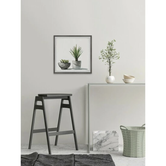 Outlet π The Gray Barn 'Spiky Succulent' Framed Painting Print π― 8 Outlet π The Gray Barn 'Spiky Succulent' Framed Painting Print π― - Image 6