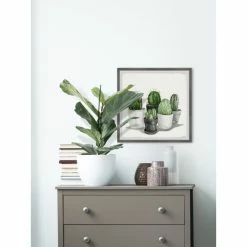 New π The Gray Barn Handmade Pointy Spikes Succulents Framed Painting Print π 11 New π The Gray Barn Handmade Pointy Spikes Succulents Framed Painting Print π -The Gray Barn Shop unnamed file 5839