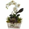 Top 10 💯 The Gray Barn Jartop Orchid And Succulent Garden White Wash Planter Decorative Plant - White Wash ✨ -The Gray Barn Shop unnamed file 6205