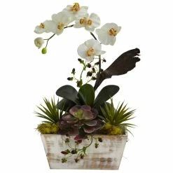 Top 10 💯 The Gray Barn Jartop Orchid And Succulent Garden White Wash Planter Decorative Plant - White Wash ✨