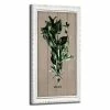 Top 10 π― The Gray Barn Botanical 'Mint' Wrapped Canvas Kitchen Wall Art π 1 Top 10 π― The Gray Barn Botanical 'Mint' Wrapped Canvas Kitchen Wall Art π -The Gray Barn Shop unnamed file 6246
