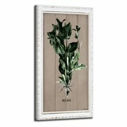 Top 10 💯 The Gray Barn Botanical 'Mint' Wrapped Canvas Kitchen Wall Art 🔔