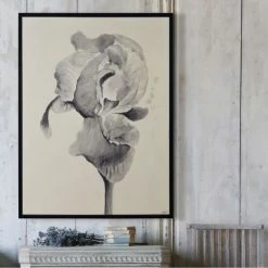 Buy ❤️ The Gray Barn Bardet Framed Black Canvas Art 😉