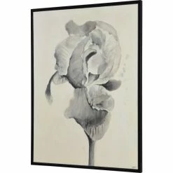 Buy ❤️ The Gray Barn Bardet Framed Black Canvas Art 😉 -The Gray Barn Shop unnamed file 6321