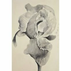 Buy ❤️ The Gray Barn Bardet Framed Black Canvas Art 😉 -The Gray Barn Shop unnamed file 6322