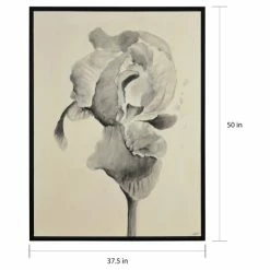 Buy ❤️ The Gray Barn Bardet Framed Black Canvas Art 😉 -The Gray Barn Shop unnamed file 6324