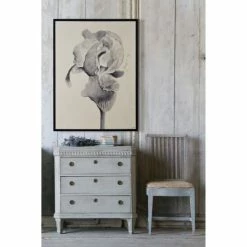 Buy ❤️ The Gray Barn Bardet Framed Black Canvas Art 😉 -The Gray Barn Shop unnamed file 6325