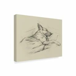 Discount ⌛ The Gray Barn Ethan Harper 'Dog Days Iv' Canvas Art 👏